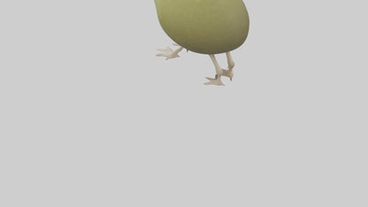 3D model Kiwi walking on forest floor model VR / AR / low-poly