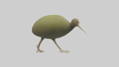 3D model Kiwi walking on forest floor model VR / AR / low-poly