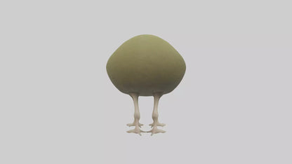 3D model Kiwi walking on forest floor model VR / AR / low-poly