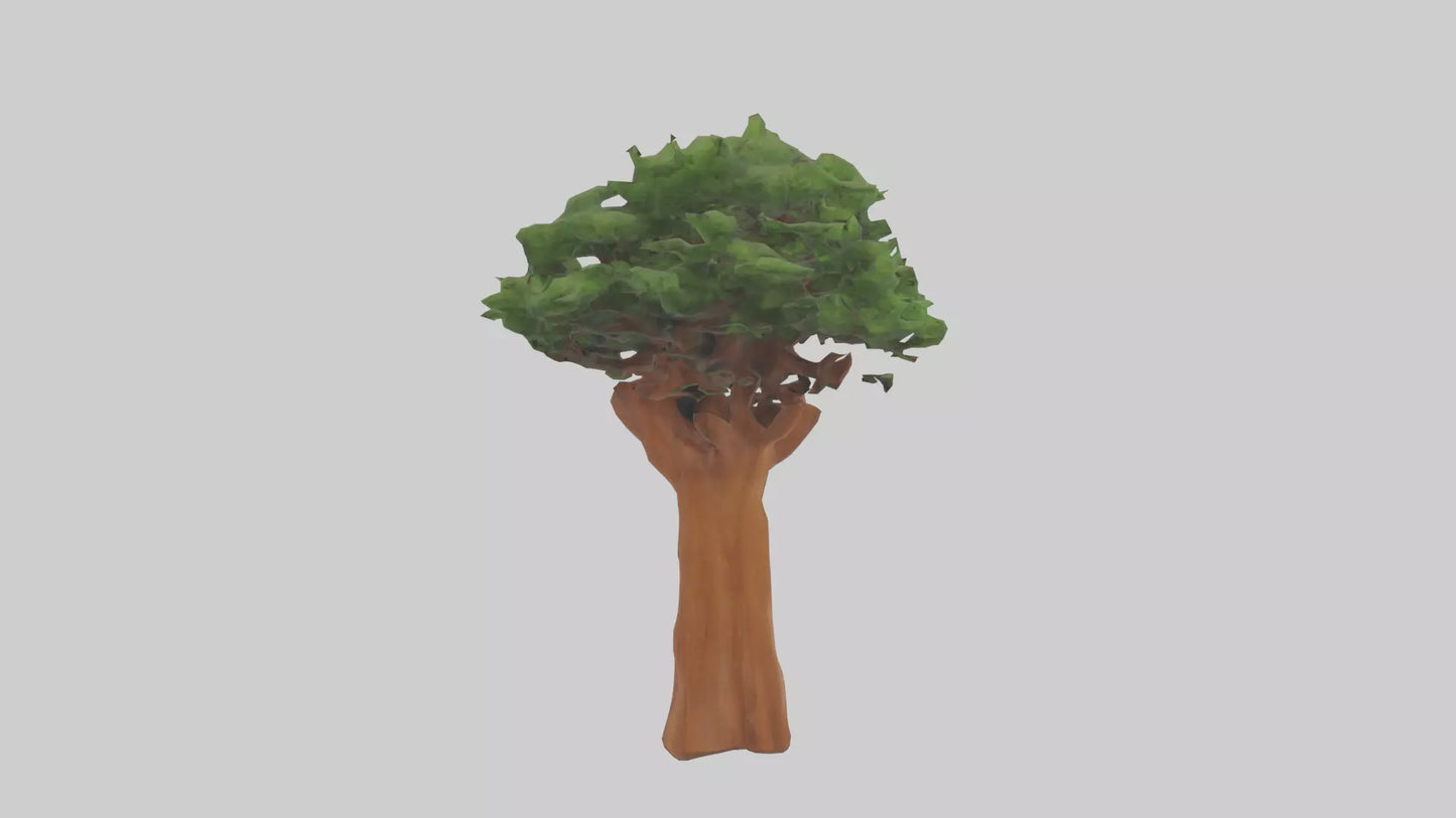 3D model Koa tree model VR / AR / low-poly
