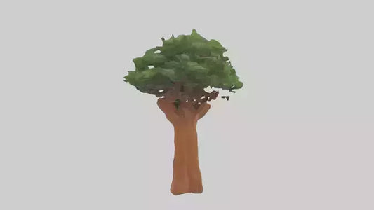 3D model Koa tree model VR / AR / low-poly