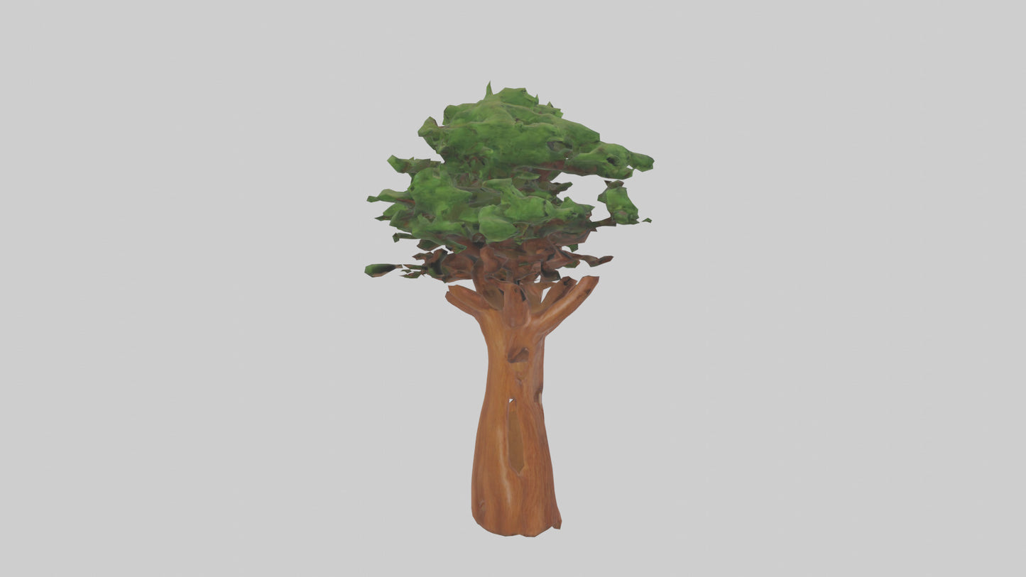 3D model Koa tree model VR / AR / low-poly