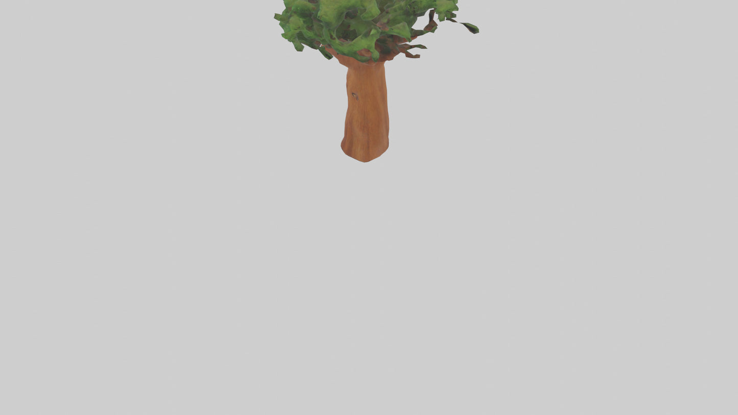 3D model Koa tree model VR / AR / low-poly