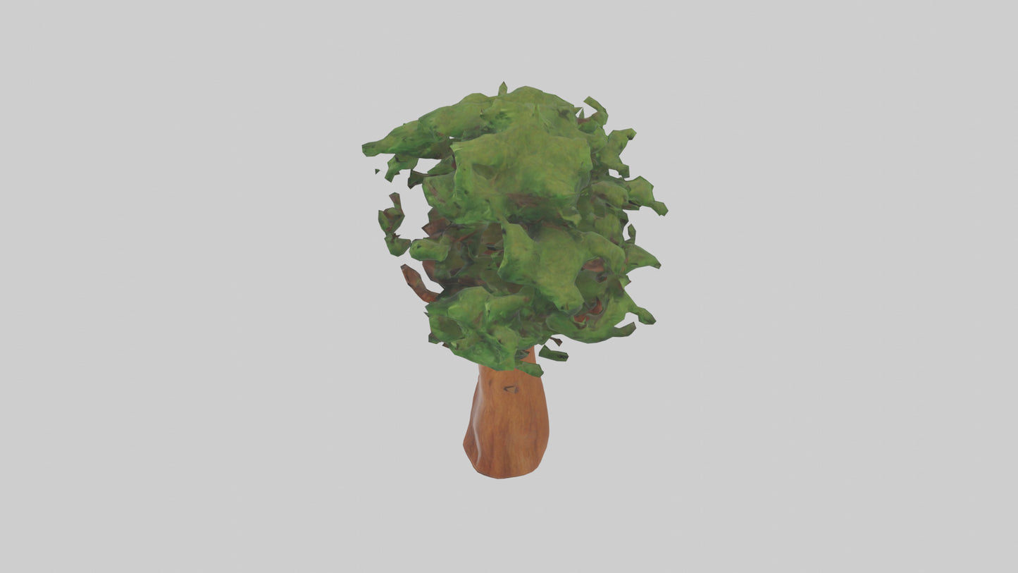 3D model Koa tree model VR / AR / low-poly