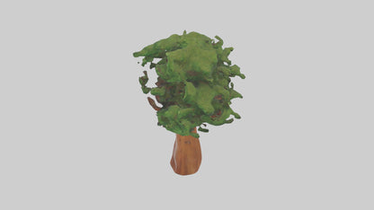 3D model Koa tree model VR / AR / low-poly