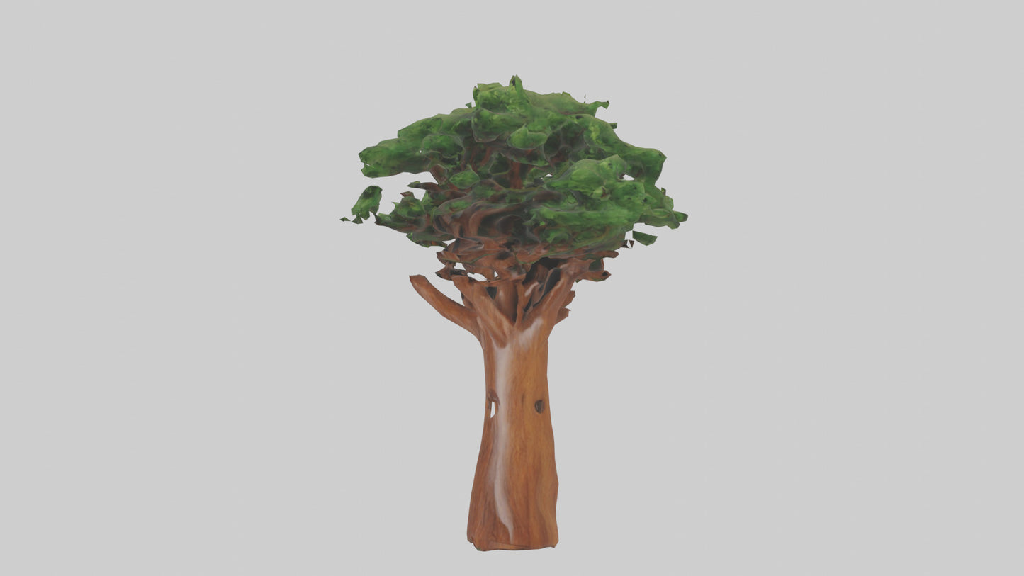 3D model Koa tree model VR / AR / low-poly
