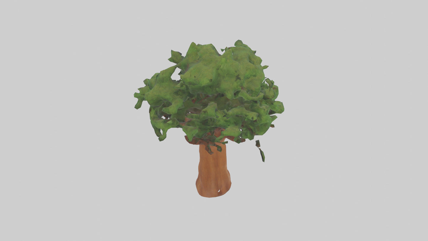 3D model Koa tree model VR / AR / low-poly