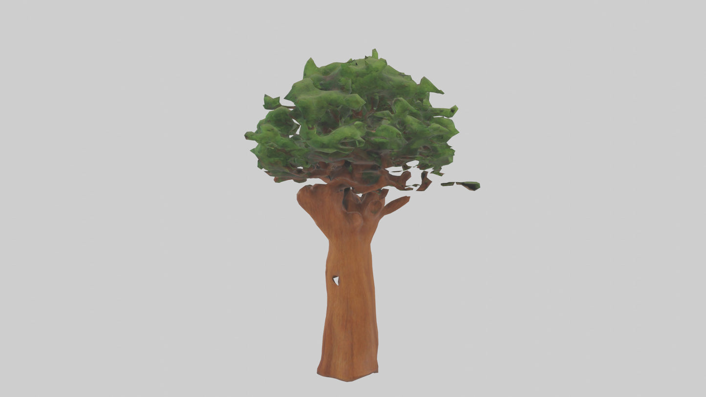 3D model Koa tree model VR / AR / low-poly