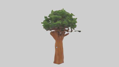 3D model Koa tree model VR / AR / low-poly