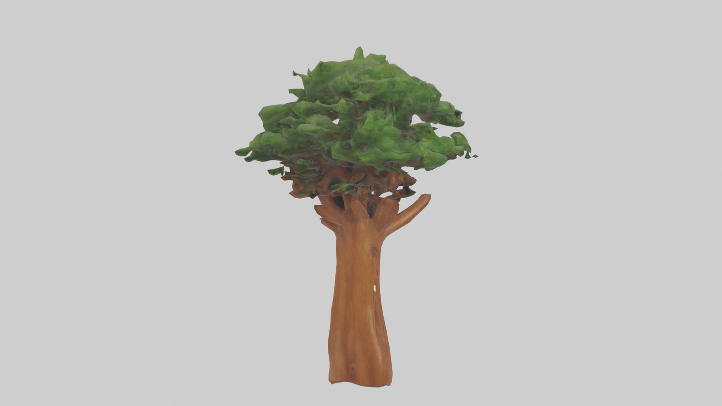3D model Koa tree model VR / AR / low-poly