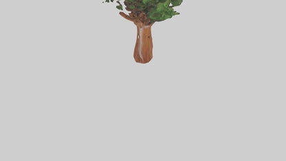 3D model Koa tree model VR / AR / low-poly