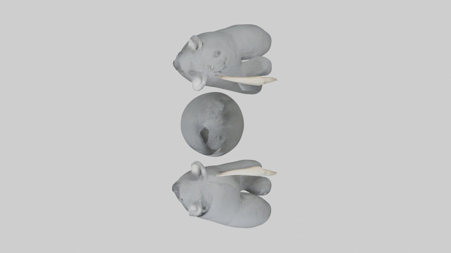 3D model Koala Claws Model VR / AR / low-poly
