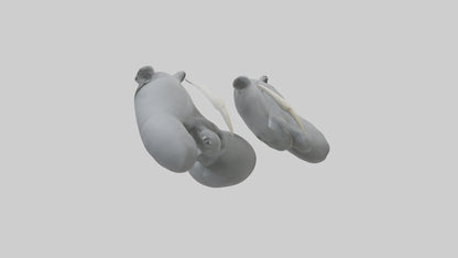 3D model Koala Claws Model VR / AR / low-poly