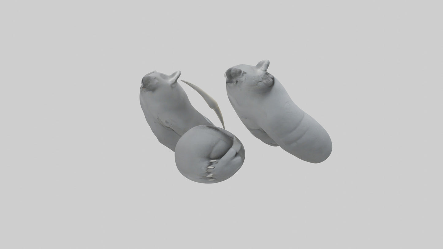 3D model Koala Claws Model VR / AR / low-poly