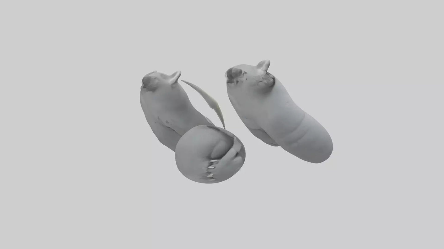 3D model Koala Claws Model VR / AR / low-poly
