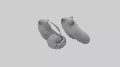3D model Koala Claws Model VR / AR / low-poly