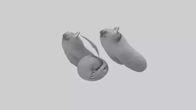 3D model Koala Claws Model VR / AR / low-poly