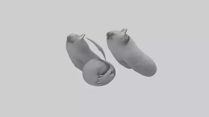 3D model Koala Claws Model VR / AR / low-poly