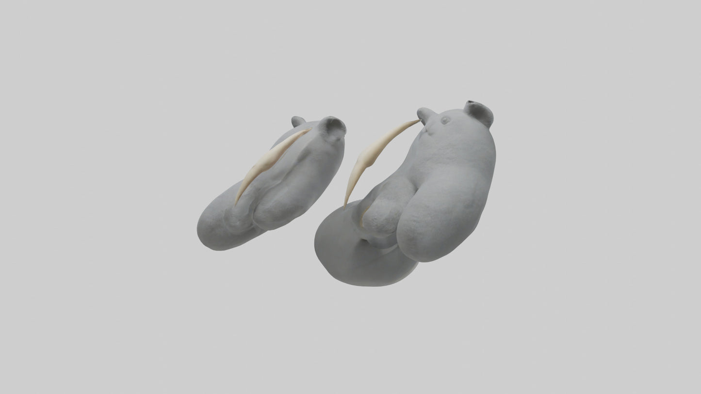 3D model Koala Claws Model VR / AR / low-poly