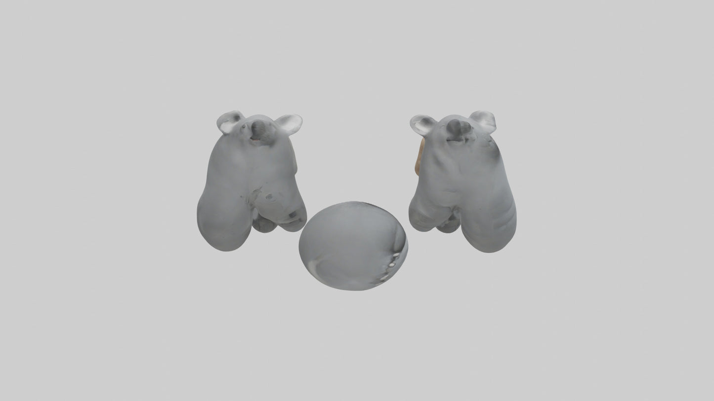 3D model Koala Claws Model VR / AR / low-poly