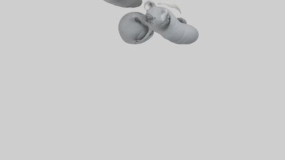 3D model Koala Claws Model VR / AR / low-poly
