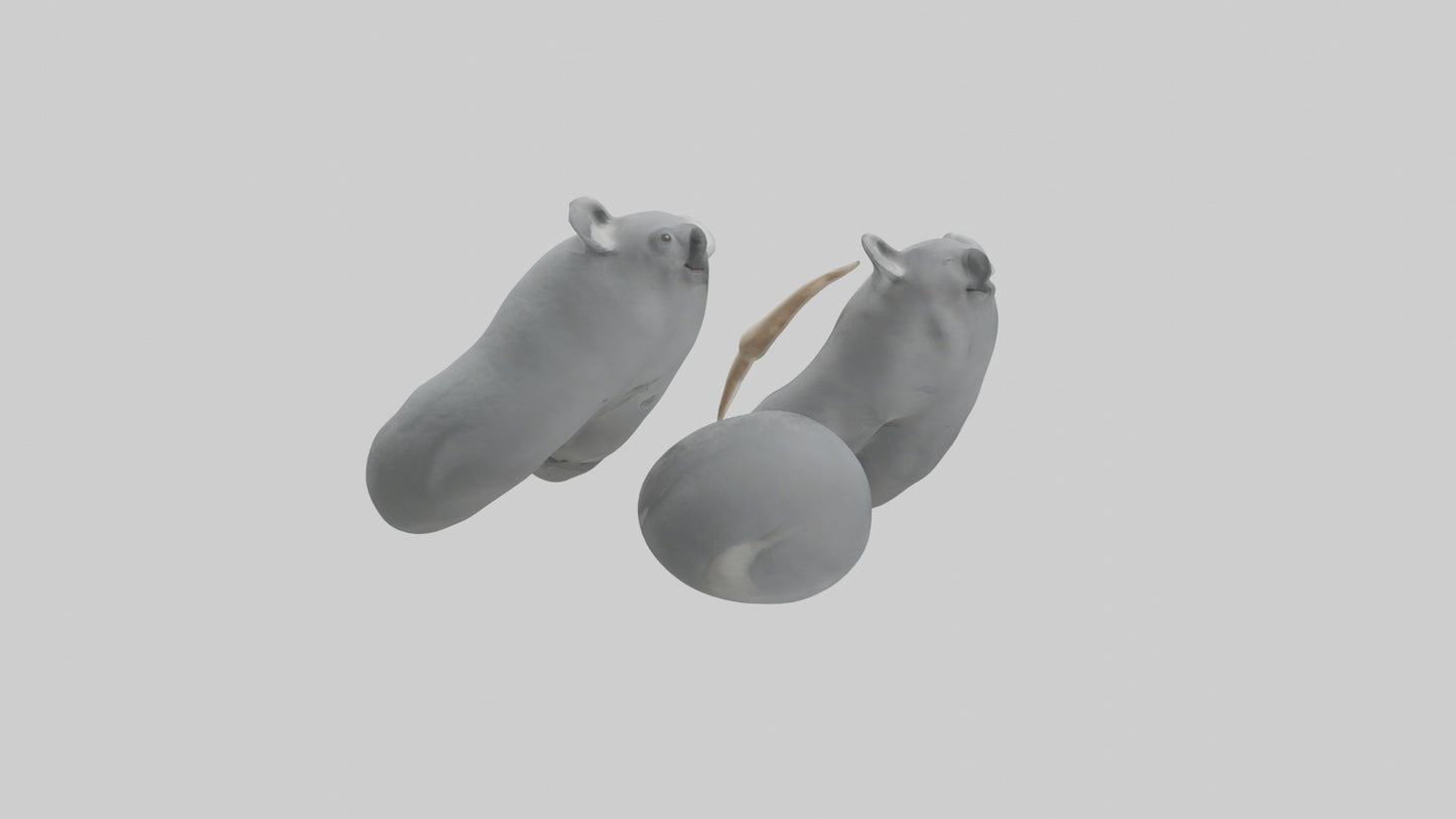 3D model Koala Claws Model VR / AR / low-poly