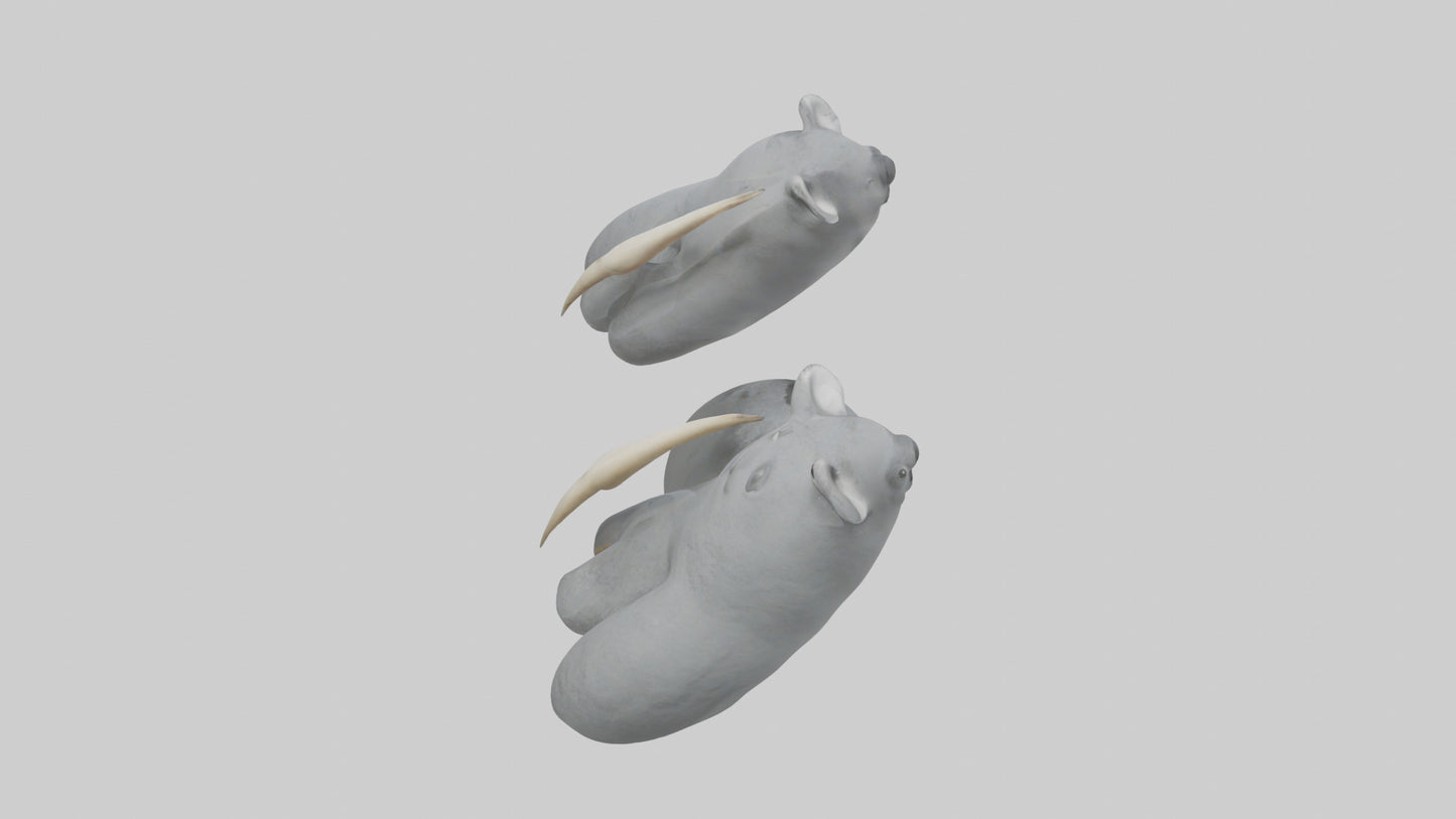 3D model Koala Claws Model VR / AR / low-poly