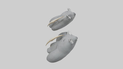 3D model Koala Claws Model VR / AR / low-poly