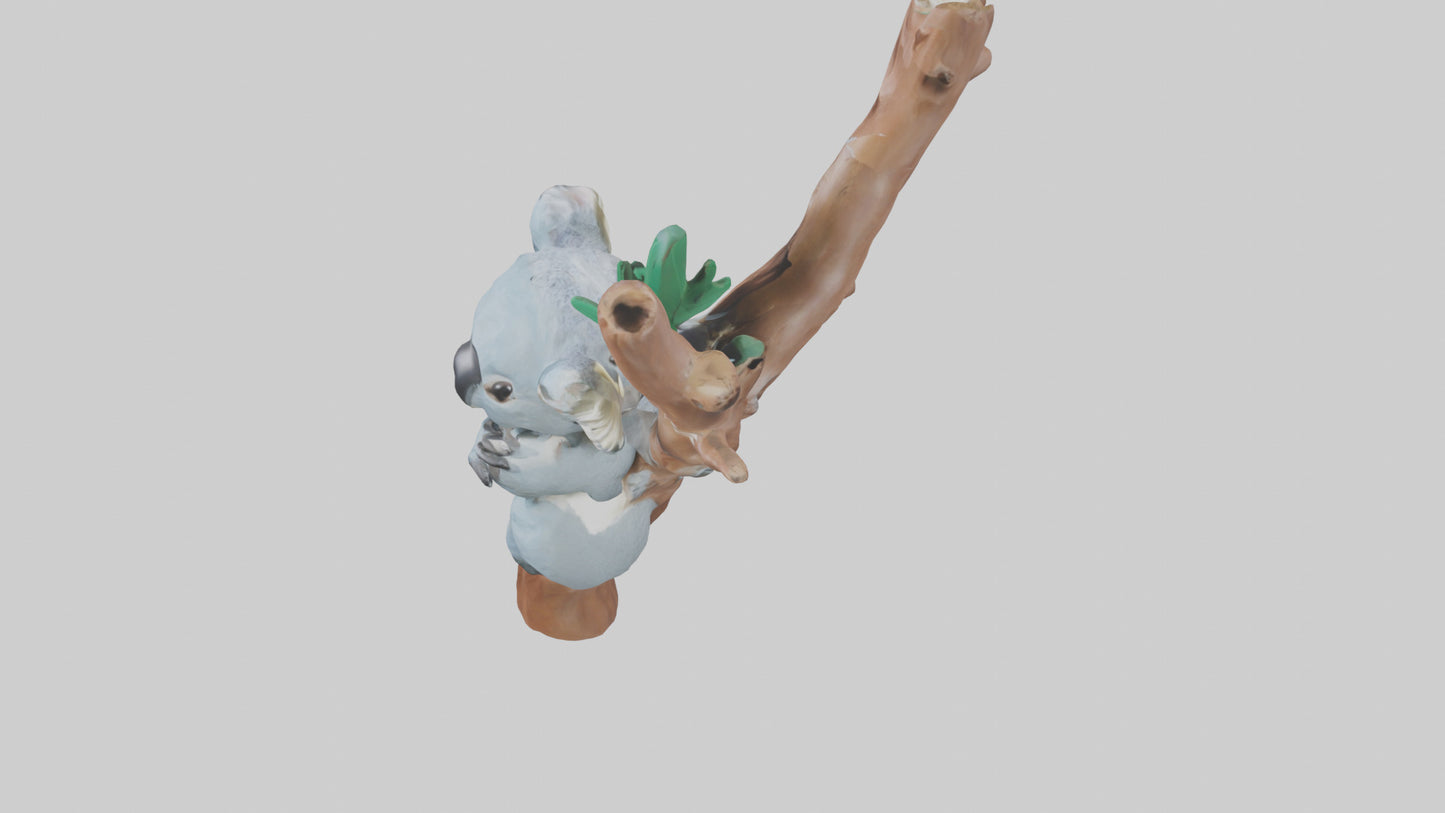 3D model Koala hugging a tree model VR / AR / low-poly