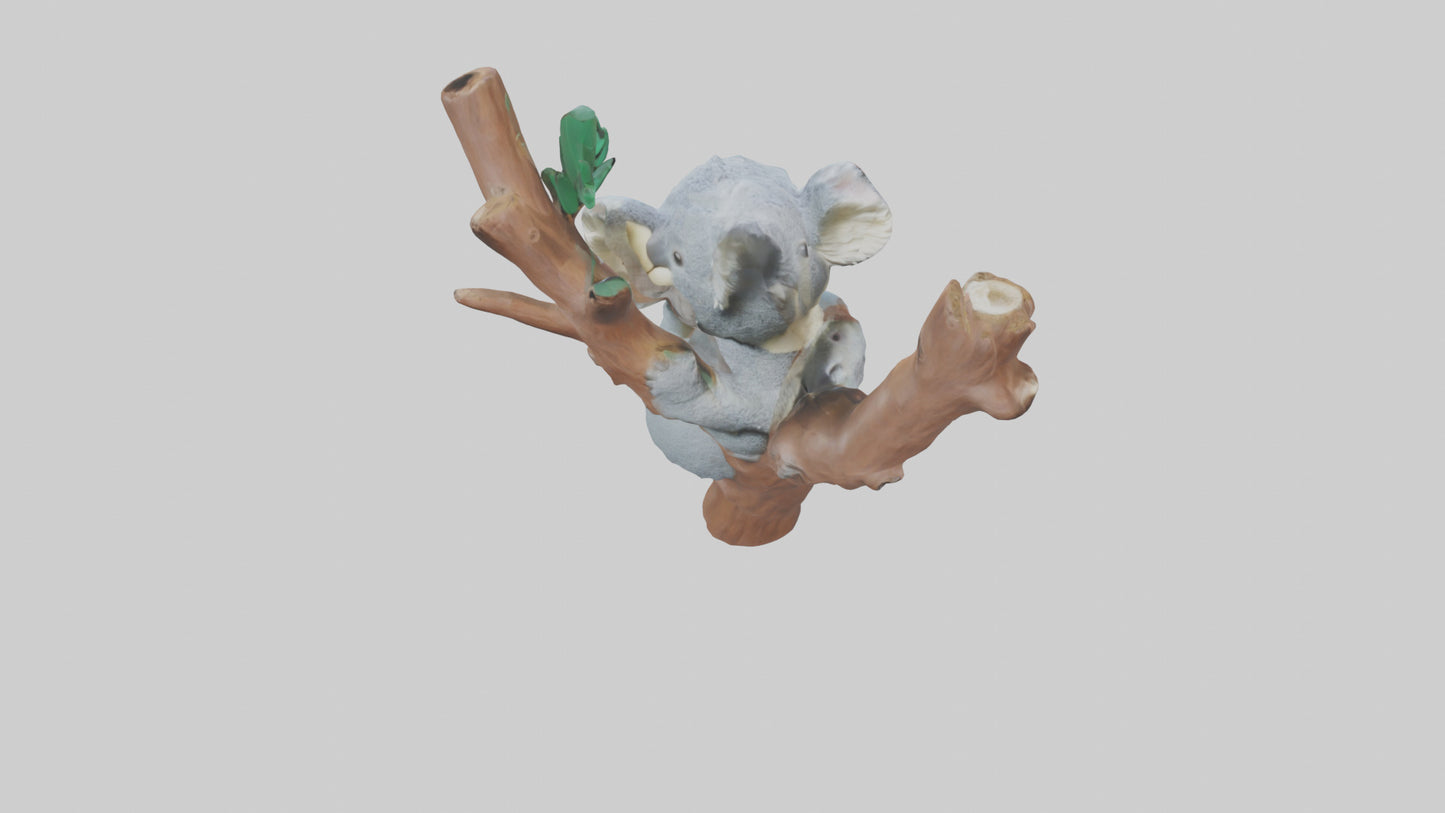 3D model Koala hugging a tree model VR / AR / low-poly