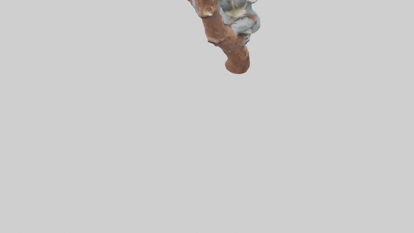 3D model Koala hugging a tree model VR / AR / low-poly