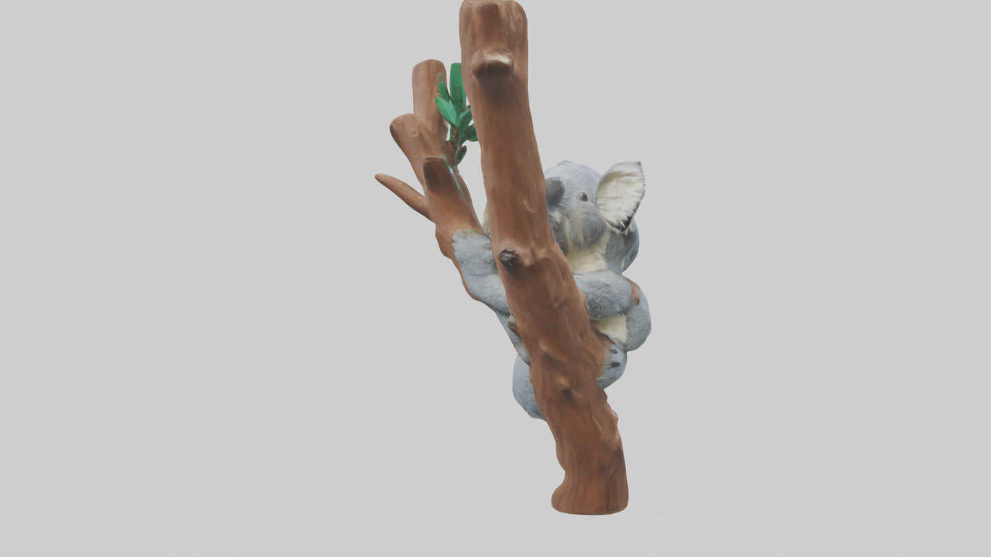 3D model Koala hugging a tree model VR / AR / low-poly