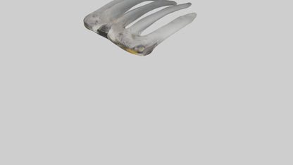 3D model Koala Rib VR / AR / low-poly