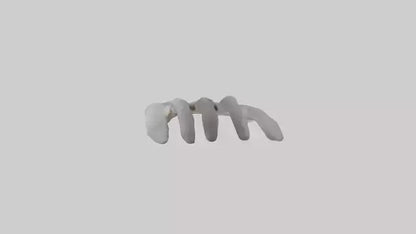 3D model Koala Rib VR / AR / low-poly