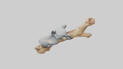 3D model Koala sleeping model VR / AR / low-poly