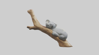 3D model Koala sleeping model VR / AR / low-poly