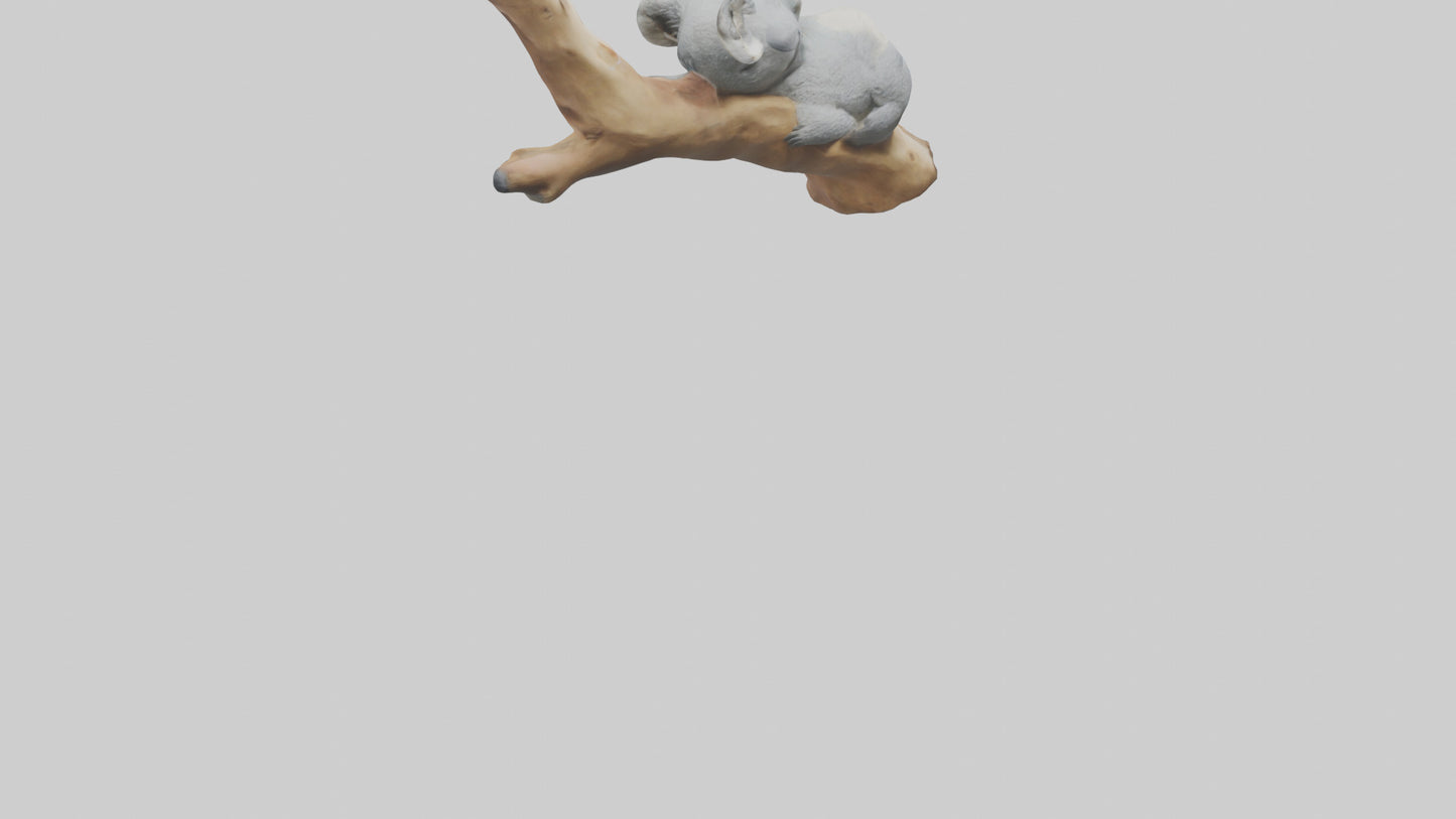 3D model Koala sleeping model VR / AR / low-poly