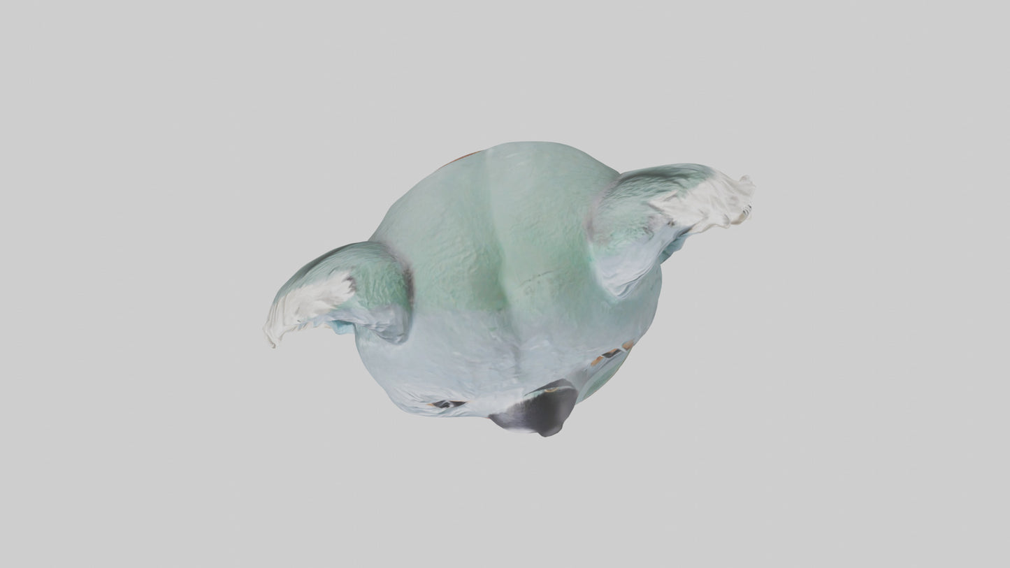 3D model Koala statue model VR / AR / low-poly
