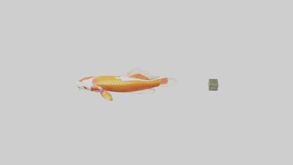 3D model Koi Carp swimming in pond model VR / AR / low-poly