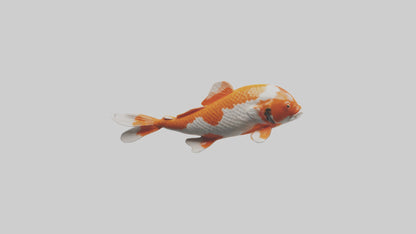 3D model Koi Fish swimming model VR / AR / low-poly