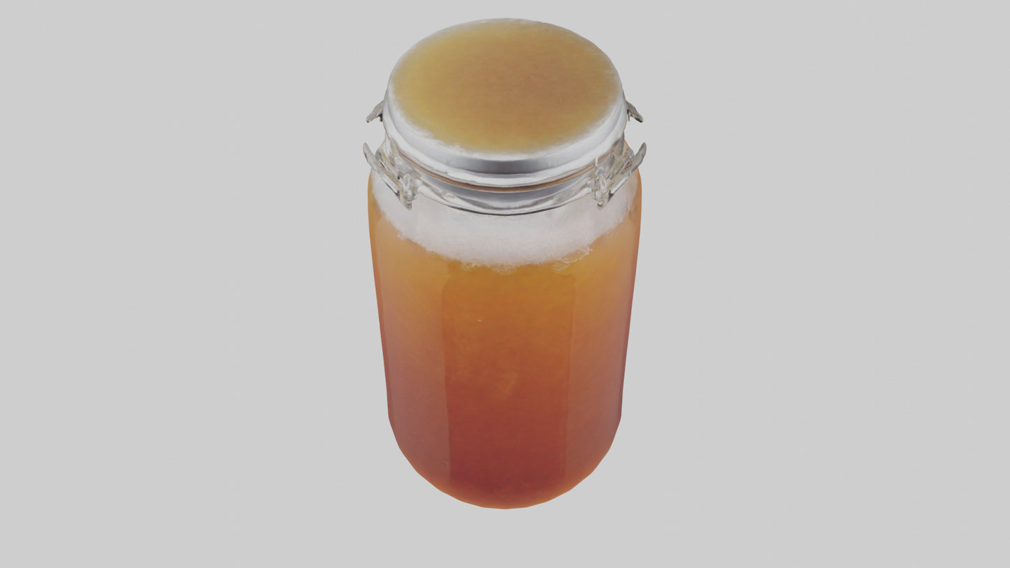 3D model Kombucha model VR / AR / low-poly