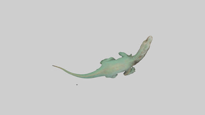 3D model Komodo Dragon climbing model VR / AR / low-poly