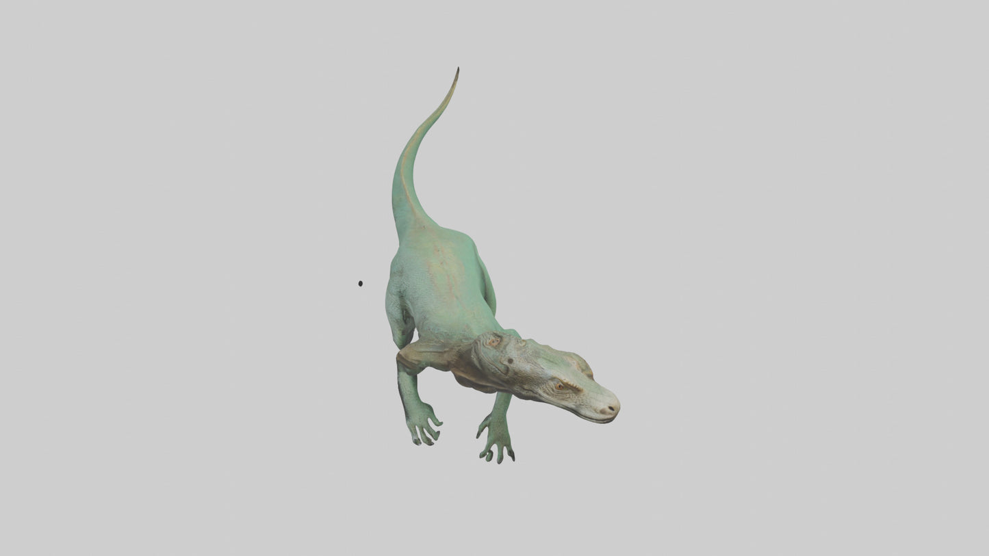 3D model Komodo Dragon climbing model VR / AR / low-poly