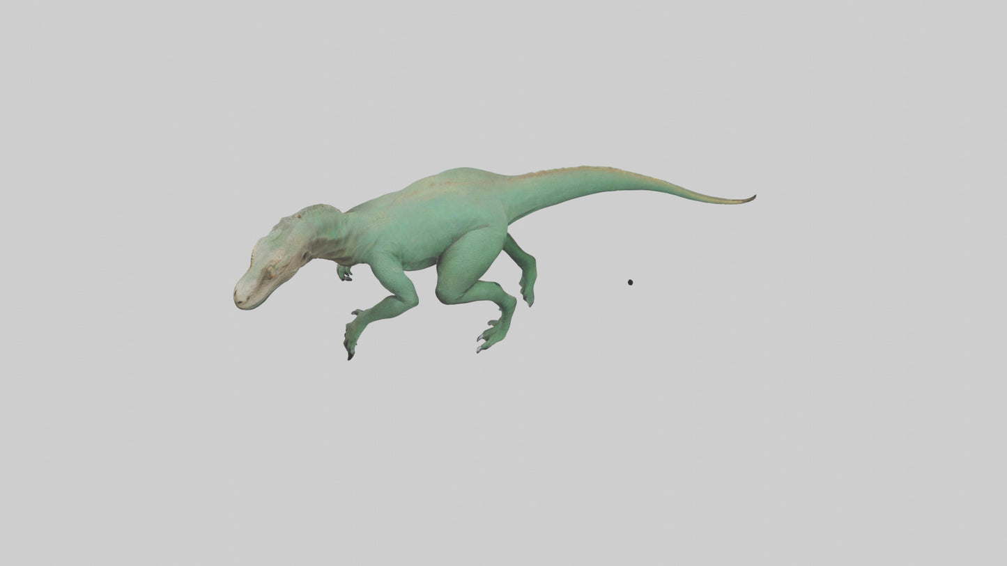 3D model Komodo Dragon climbing model VR / AR / low-poly