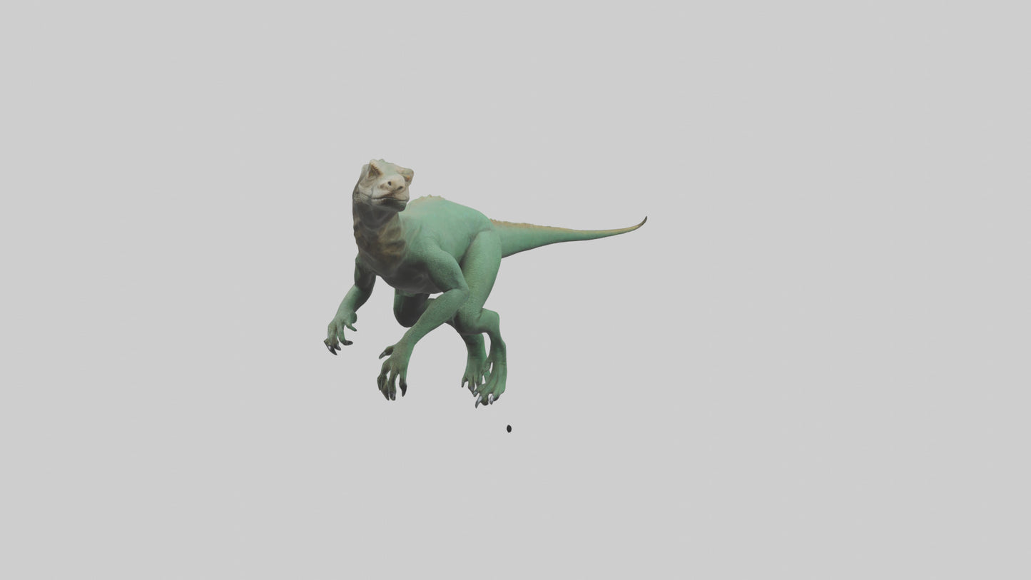 3D model Komodo Dragon climbing model VR / AR / low-poly