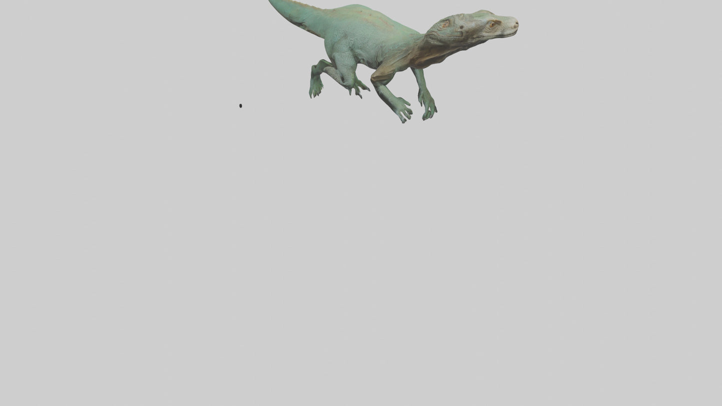 3D model Komodo Dragon climbing model VR / AR / low-poly