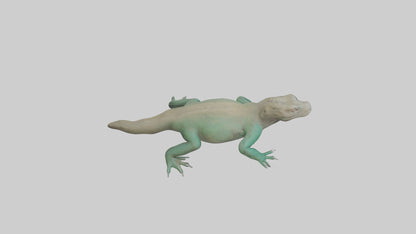3D model Komodo Dragon resting model VR / AR / low-poly