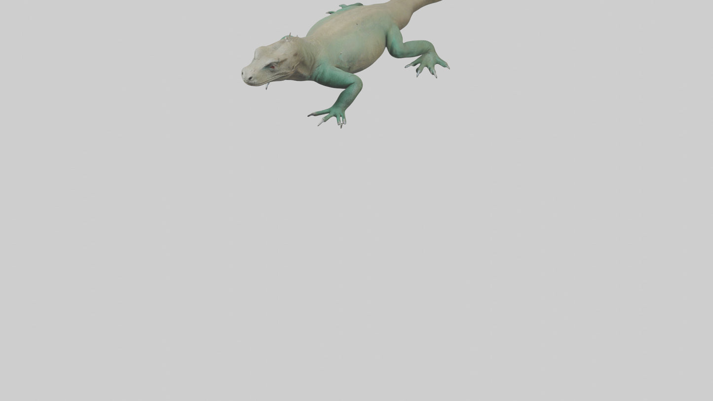 3D model Komodo Dragon resting model VR / AR / low-poly