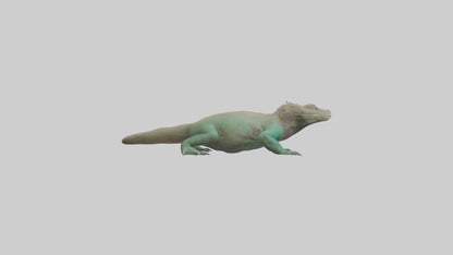 3D model Komodo Dragon resting model VR / AR / low-poly