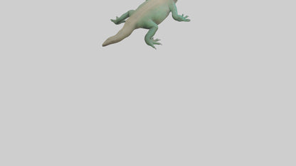 3D model Komodo Dragon resting model VR / AR / low-poly